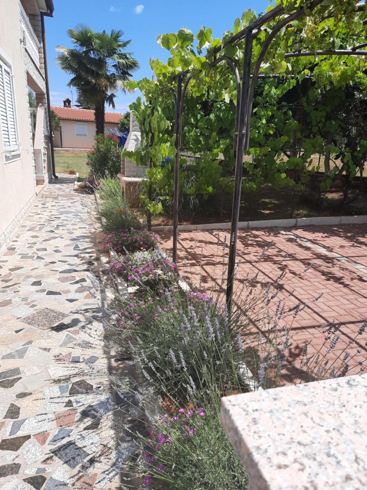 Apartments Marinela Πόρετς Δωμάτιο φωτογραφία